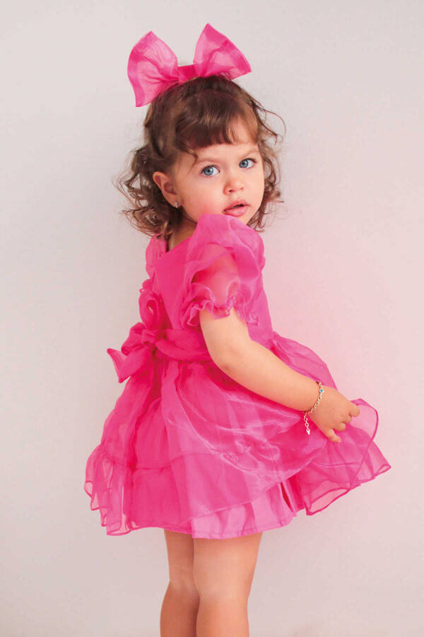 SSY22 - Barbie Pembe Cam Organze Parlak Kız Çocuk Elbise (1)